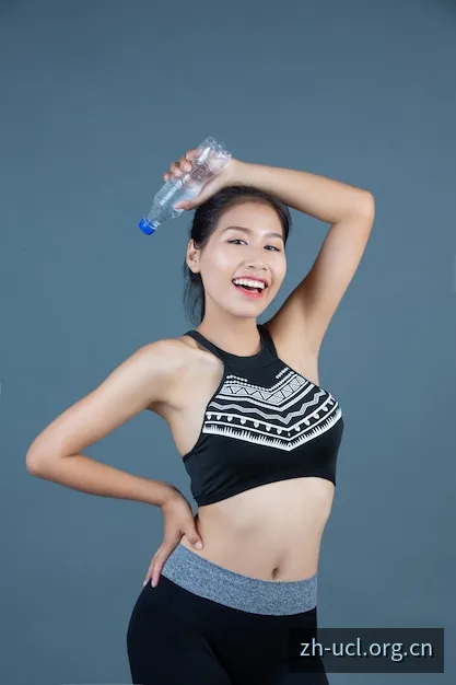 欧冠赛季阶段概览
